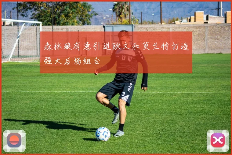 森林狼有意引进欧文和莫兰特打造强大后场组合
